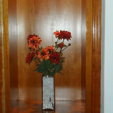 Hotel Anoeta 3*