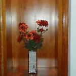 Anoeta 3*