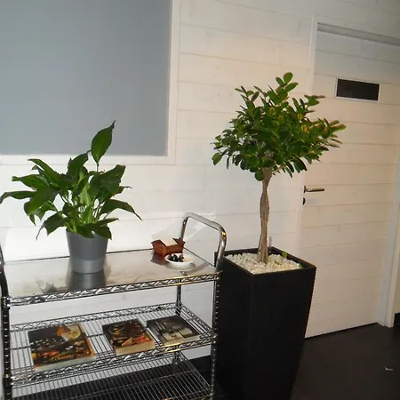 Hotel Hotel Anoeta 3*