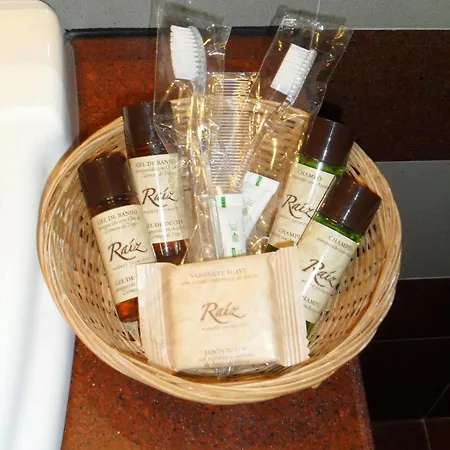 Hotel Anoeta Hotel 3*