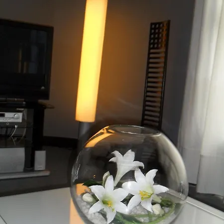 Hotel Anoeta Hotel 3*